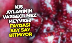 Kış aylarının vazgeçilmez meyvesi! Faydası say say bitmiyor