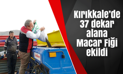 Kırıkkale’de 37 dekar alana Macar Fiği ekildi