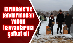 Kırıkkale’de jandarmadan yaban hayvanlarına şefkat eli