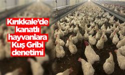 Kırıkkale’de kanatlı hayvanlara Kuş Gribi denetimi