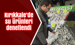 Kırıkkale’de su ürünleri tezgatlarda denetlendi