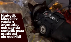 Narkotik köpeği ile yapılan aramada çok sayıda uyuşturucu ele geçirildi