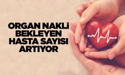 Organ nakli bekleyen hasta sayısı artıyor