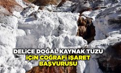 Delice Doğal Kaynak Tuzu için AB coğrafi işaret başvurusu