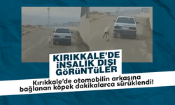 Kırıkkale’de insanlık dışı görüntüler!