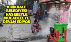 Kırıkkale Belediyesi haşereyle mücadeleye devam ediyor