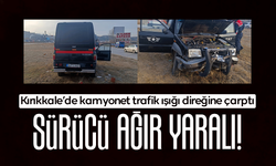 Kamyonet trafik ışığı direğine çarptı: Sürücü ağır yaralı