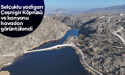 Selçuklu yadigarı Çeşnigir Köprüsü ve kanyonu havadan görüntülendi