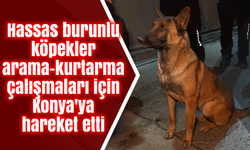 Hassas burunlu köpekler arama-kurtarma çalışmaları için Konya'ya hareket etti