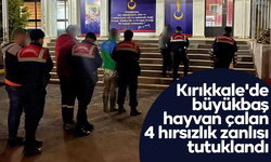 Kırıkkale'de büyükbaş hayvan çalan 4 hırsızlık zanlısı tutuklandı