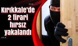 Kırıkkale’de 2 firari hırsız yakalandı