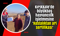 Kırıkkale’de büyükbaş hayvancılık işletmesine ‘Hastalıktan ari sertifikası’