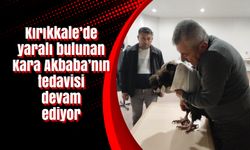 Kırıkkale’de yaralı bulunan Kara Akbaba’nın tedavisi devam ediyor