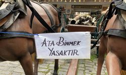 Eskişehir’deki "Ata binmek yasaktır" uyarısı dikkat çekiyor