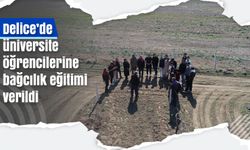 Delice’de üniversite öğrencilerine bağcılık eğitimi verildi