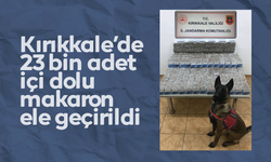 Kırıkkale’de 23 bin adet içi dolu makaron ele geçirildi