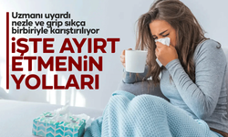 Nezle ve grip sıkça birbiriyle karıştırılıyor