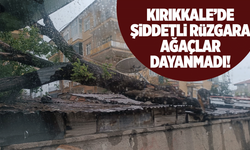 Kırıkkale’de devrilen ağaç maddi hasara neden oldu!
