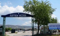 Hayvan pazarı Kurban Bayramı’na hazır