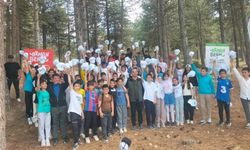 Öğrencilerden ormanda temizlik seferberliği