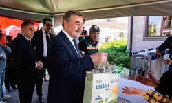 Vatandaşlara 50 bin fide dağıttı