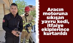 Aracın motoruna sıkışan yavru kedi, itfaiye ekiplerince kurtarıldı