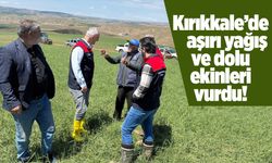Tarım İl Müdürlüğü tarafından afet sonrası sahada inceleme yapıldı