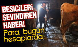 Tarım ve Hayvancılığa 5,1 Milyar Liralık Destek Ödemesi Başladı