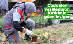 Caddeler yeşilleniyor, Kırıkkale güzelleşiyor