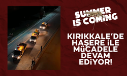 Kırıkkale'de haşerelere karşı yoğun mücadele