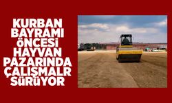 Kurban Bayramı öncesi hayvan pazarında modernizasyon çalışmaları başladı