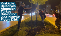 Kırıkkale Belediyesi'nden Alparslan Türkeş Bulvarı'na 200 ıhlamur fidanı