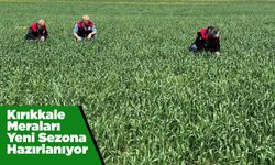 Kırıkkale Meraları Yeni Sezona Hazırlanıyor