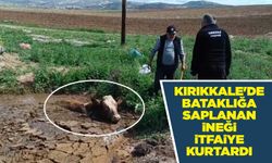 Kırıkkale'de bataklığa saplanan ineği itfaiye kurtardı