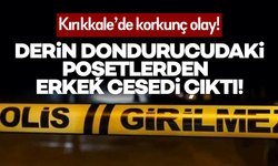 Çilingirle girdiği evde korkunç manzarayla karşılaştı: Derin dondurucularda bulunan poşetlerden erkek cesedi çıktı