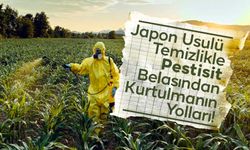 Japon Usulü Temizlikle Pestisit Tehlikesine Son!