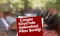 Çongar Köyü'nde Geleneksel Pilav Şenliği Coşkusu