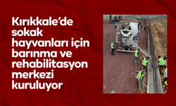 Kırıkkale’de sokak hayvanları için barınma ve rehabilitasyon merkezi kuruluyor