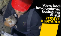 Kırıkkale'de havalandırma boşluğuna düşen yavru kediler kurtarıldı