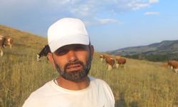 Keneler görülmeye devam ediyor