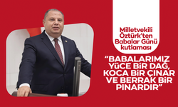 Milletvekili Öztürk: “Babalar, yüce bir dağ, koca bir çınardır”
