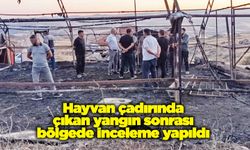 Hayvan çadırında çıkan yangın sonrası bölgede inceleme yapıldı
