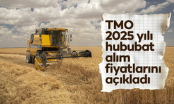 TMO 2025 yılı hububat alım fiyatlarını açıkladı