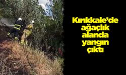 Kırıkkale’de ağaçlık alanda yangın çıktı