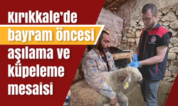 Kırıkkale’de bayram öncesi aşılama ve küpeleme mesaisi