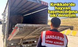 Kırıkkale’de hayvan taşımacılığına sıkı denetim
