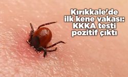 Kırıkkale'de ilk kene vakası: KKKA testi pozitif çıktı