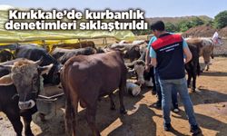 Kırıkkale’de kurbanlık denetimleri sıklaştırıldı