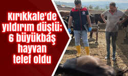 Kırıkkale'de yıldırım düştü; 6 büyükbaş hayvan telef oldu