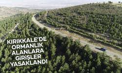 Kırıkkale’de ormanlara girişler yasaklandı